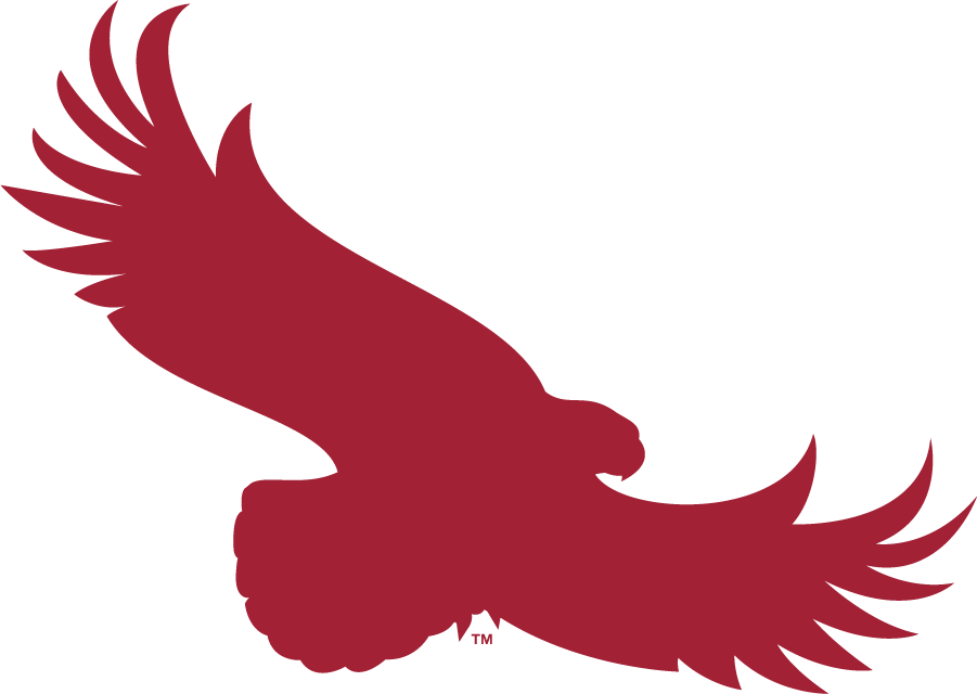 St. Joseph's Hawks 2018-Pres Alternate Logo DIY iron on transfer (heat transfer)